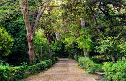 Guide photo d'Athènes : Jardin national - une oasis au centre-ville